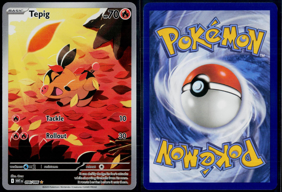 TEPIG 096/086 POKEMON WHITE FLARE ILLUSTRATION RARE HOLO NM
