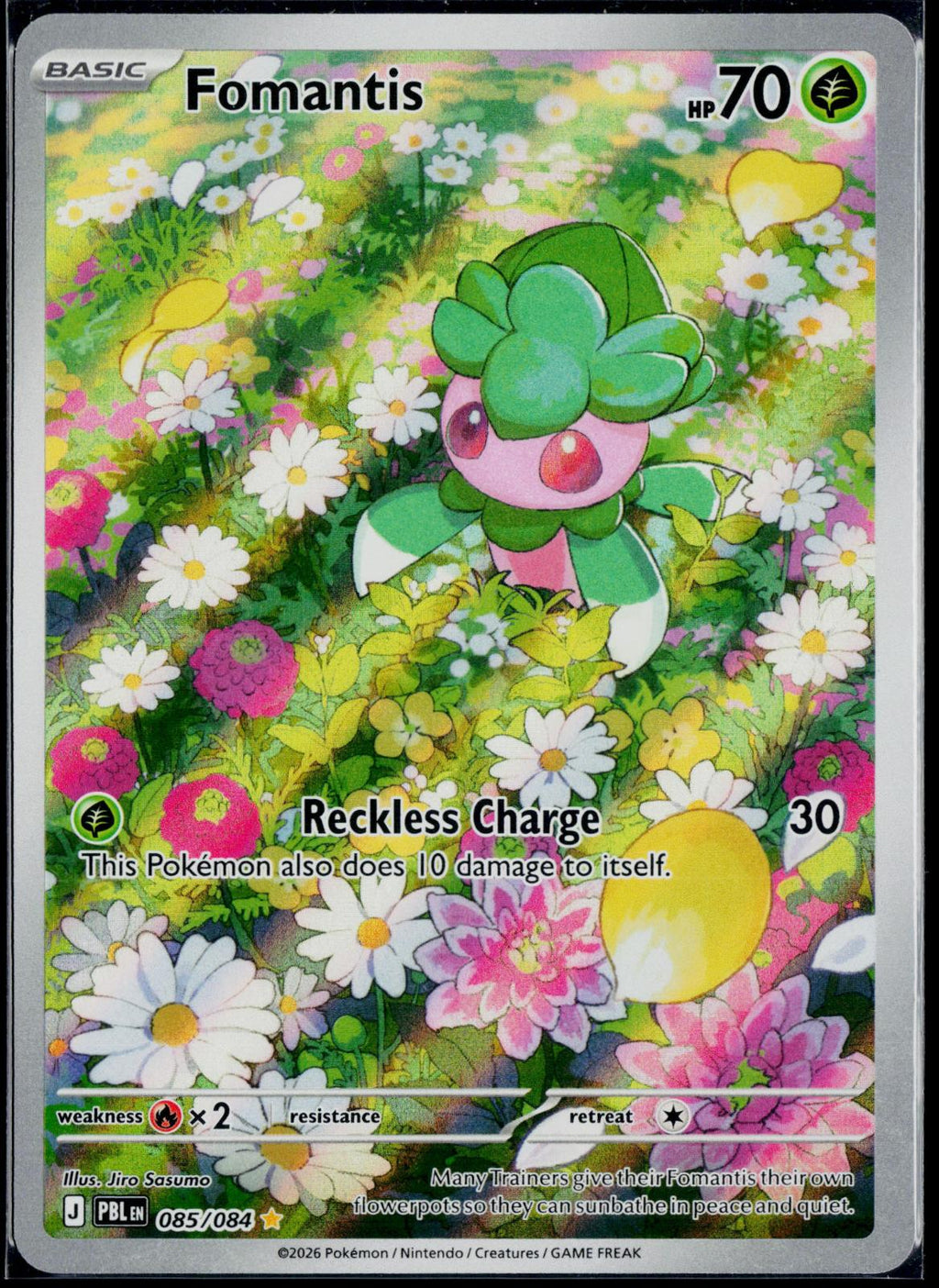 FOMANTIS 085/084 POKEMON PITCH BLACK ILLUSTRATION RARE HOLO NM