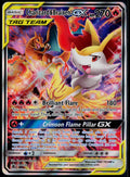 CHARIZARD & BRAIXEN GX - SM230 POKEMON SUN & MOON PROMO HOLO P NM