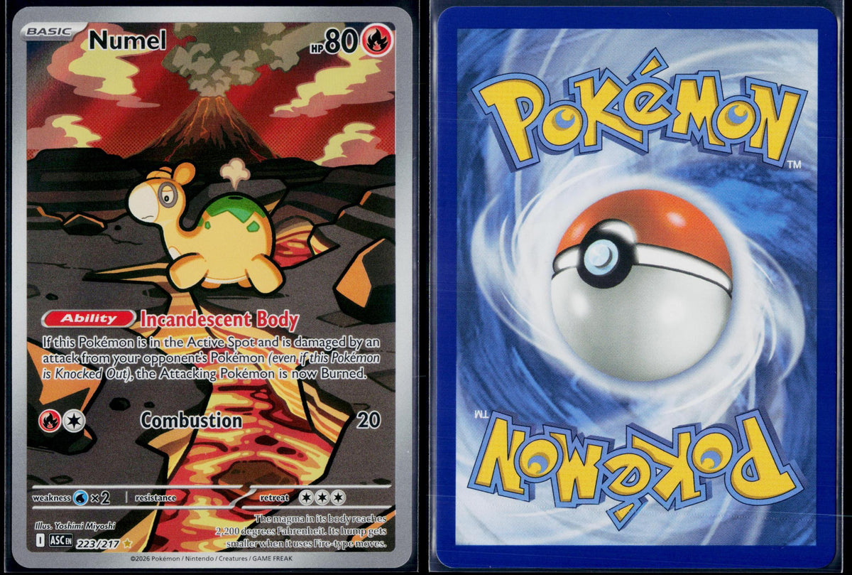 NUMEL 223/217 POKEMON ASCENDED HEROES ILLUSTRATION RARE NM