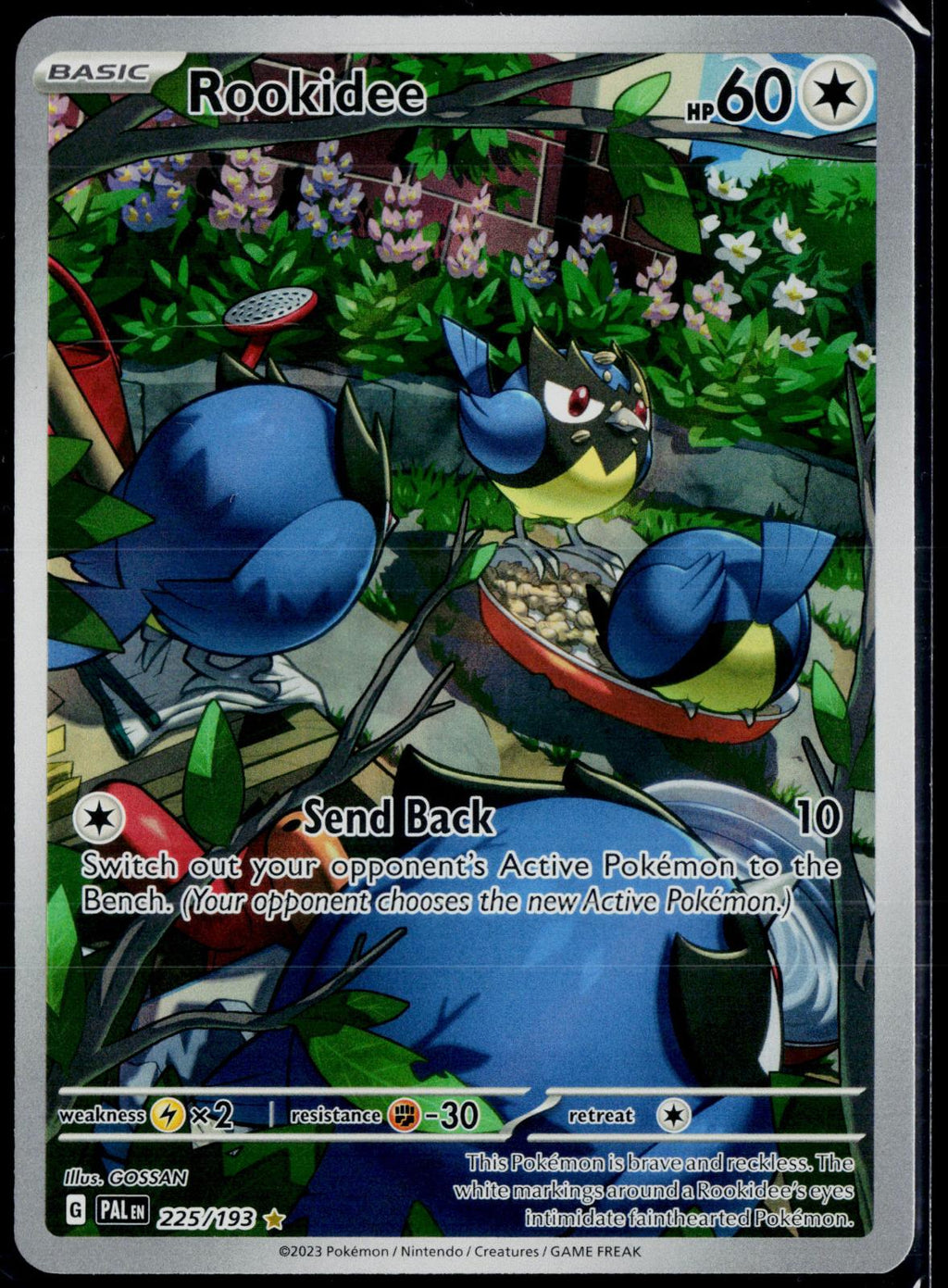 ROOKIDEE 225/193 POKEMON PALDEA EVOLVED ILLUSTRATION RARE HOLO NM