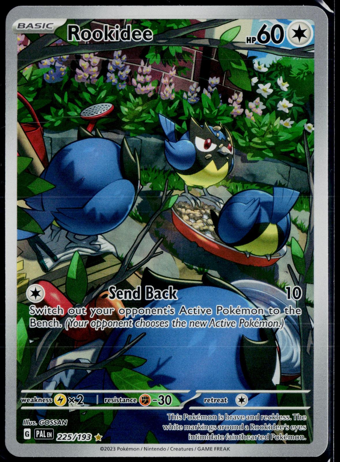 ROOKIDEE 225/193 POKEMON PALDEA EVOLVED ILLUSTRATION RARE HOLO NM