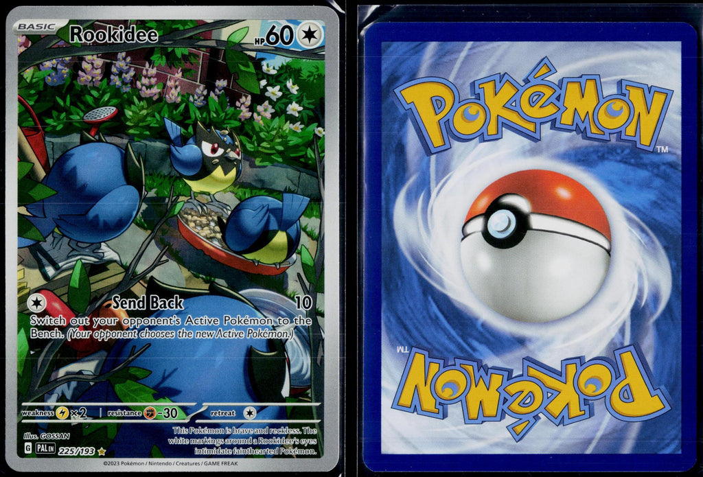 ROOKIDEE 225/193 POKEMON PALDEA EVOLVED ILLUSTRATION RARE HOLO NM