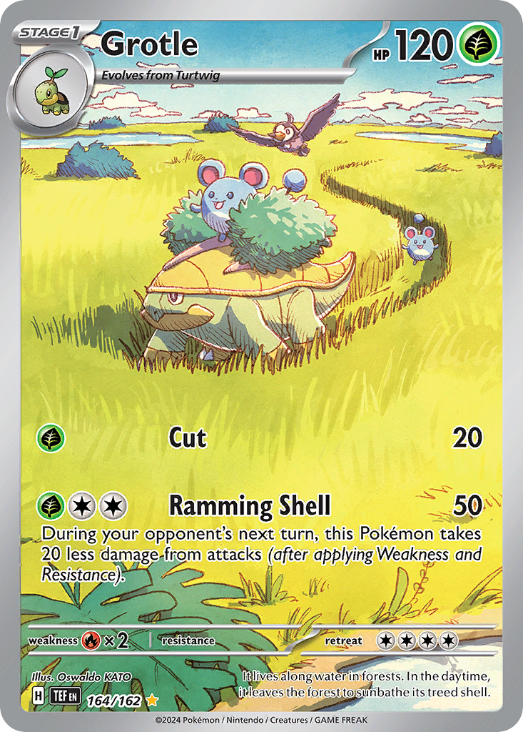 GROTLE 164/162 🐬 POKEMON TEMPORAL FORCES IR ☀️ HOLO NM/M 🌴