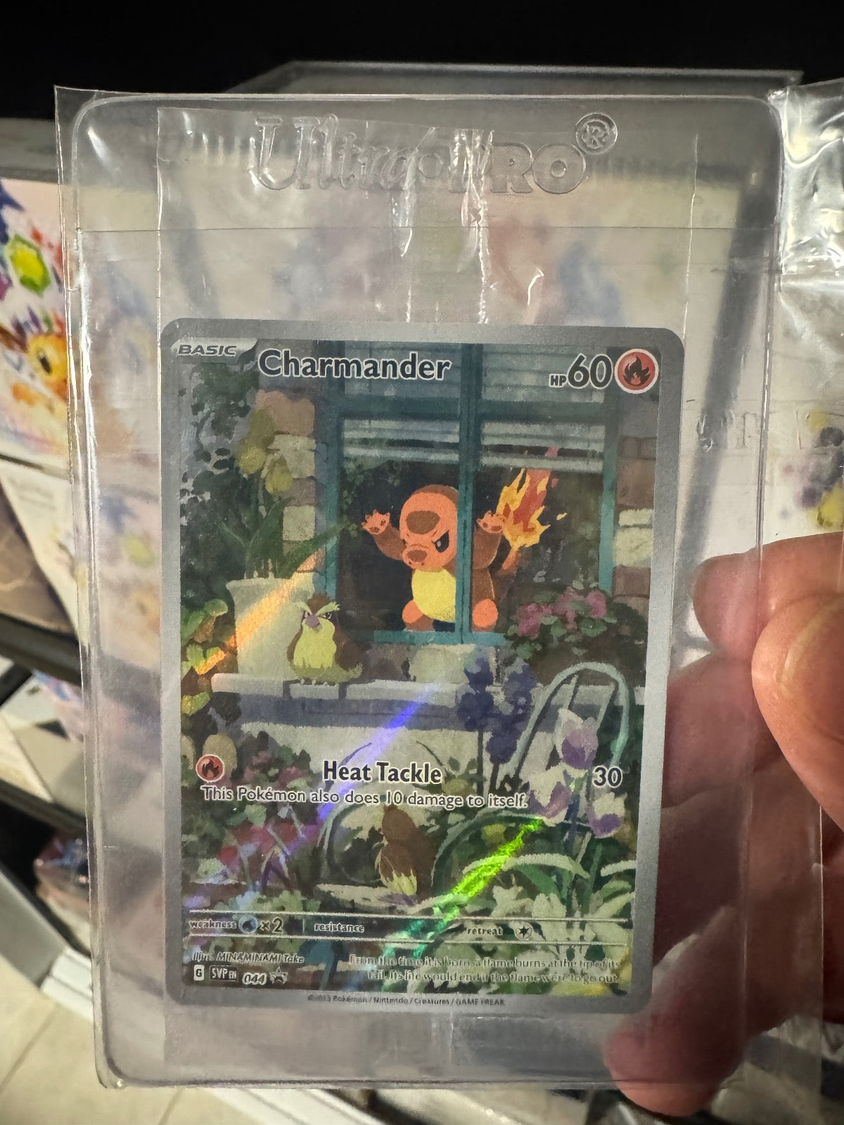 CHARMANDER 044 POKEMON SCARLET & VIOLET PROMO HOLO P NM SEALED