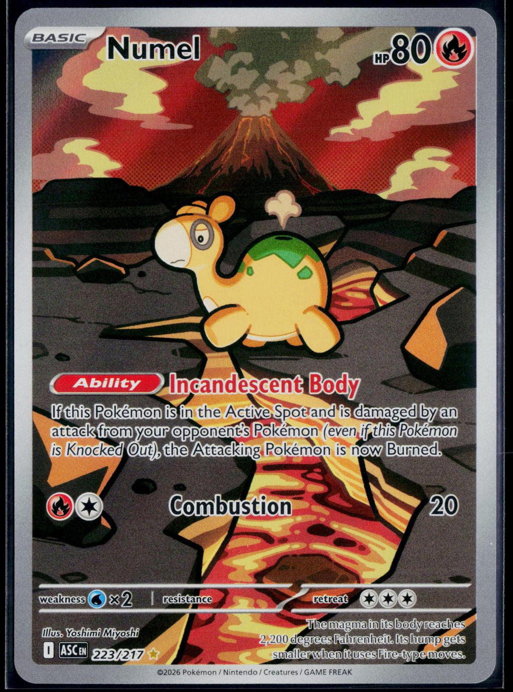 NUMEL 223/217 POKEMON ASCENDED HEROES ILLUSTRATION RARE NM
