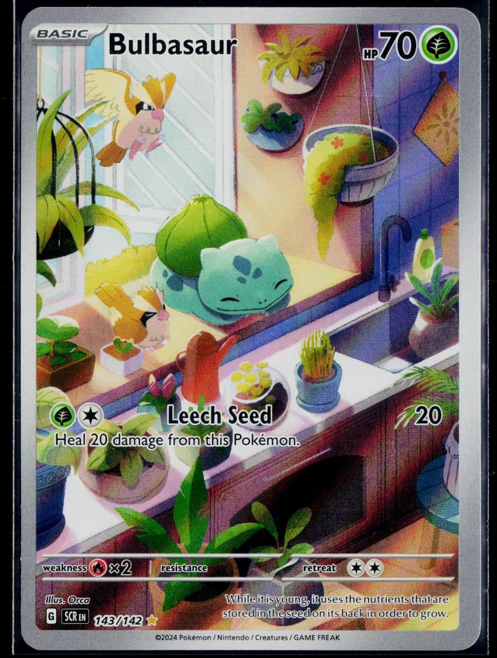 BULBASAUR 143/142 🐬 POKEMON STELLAR CROWN IR ☀️ HOLO NM/M 🌴