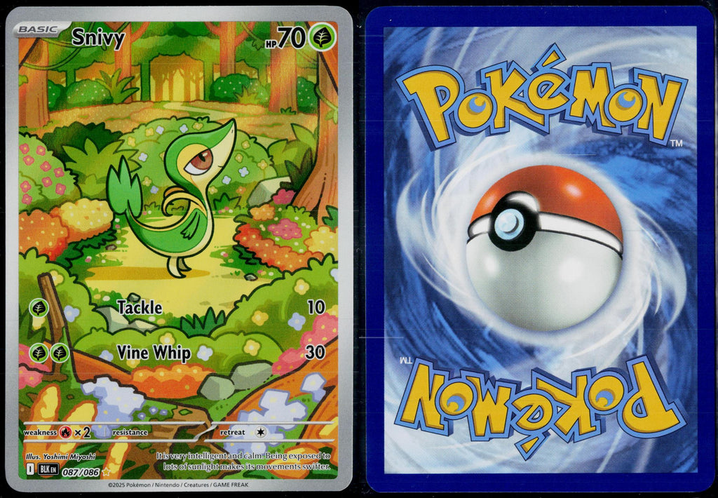 SNIVY 087/086 POKEMON BLACK BOLT HOLO ILLUSTRATION RARE NM