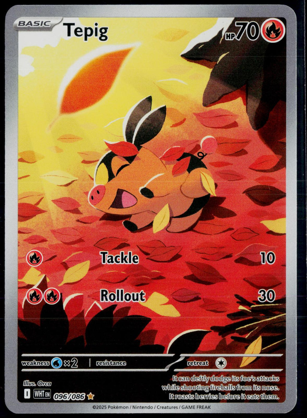 TEPIG 096/086 POKEMON WHITE FLARE ILLUSTRATION RARE HOLO NM